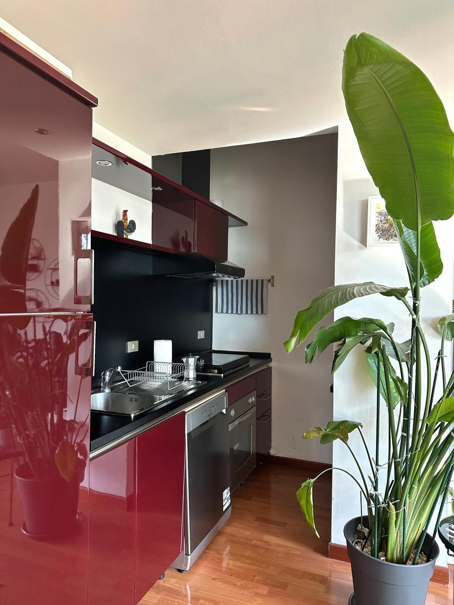 Urban Jungle - Attico Vista Duomo Apartment Milan Exterior photo