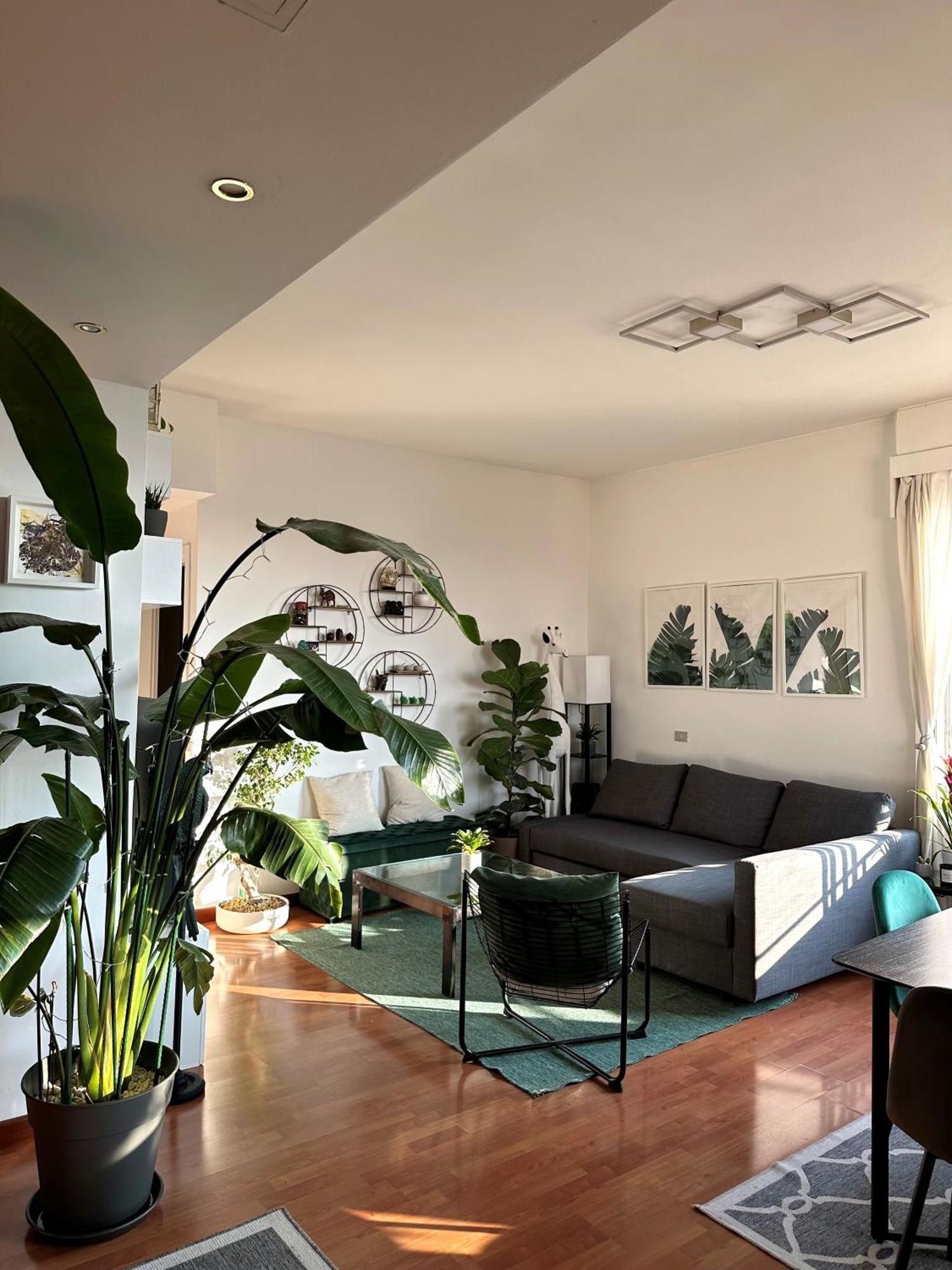 Urban Jungle - Attico Vista Duomo Apartment Milan Exterior photo