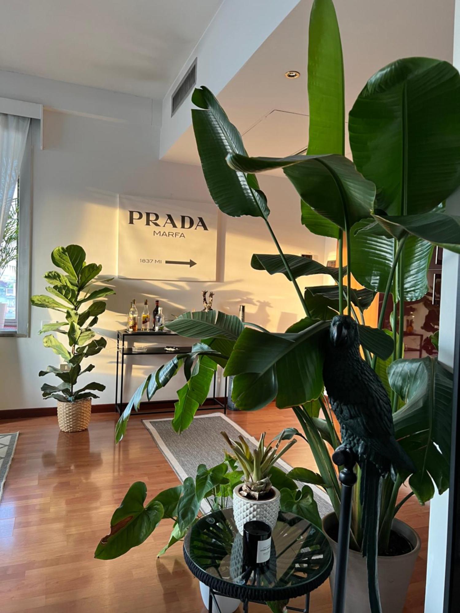 Urban Jungle - Attico Vista Duomo Apartment Milan Exterior photo